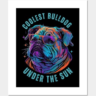 Coolest Bulldog Under The Sun Posters and Art